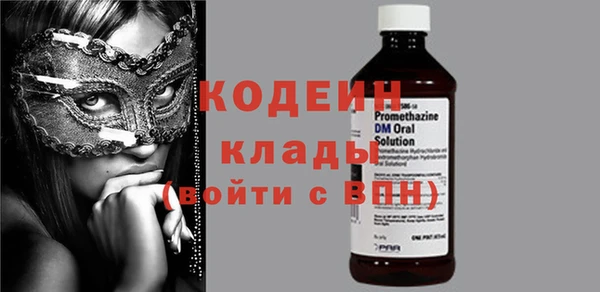 шишки Елизово