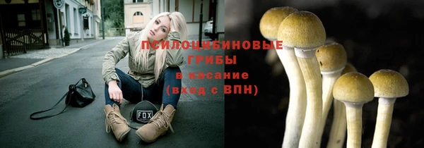 прущие грибы Абдулино