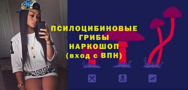 ГАЛЛЮЦИНОГЕННЫЕ ГРИБЫ Арсеньев