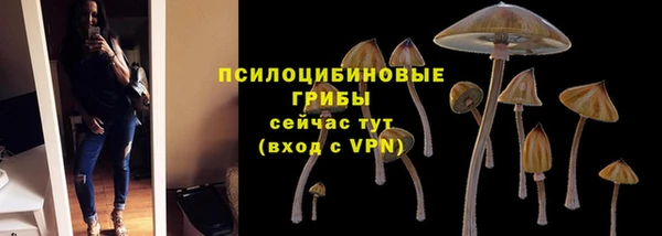 МДПВ Алексин
