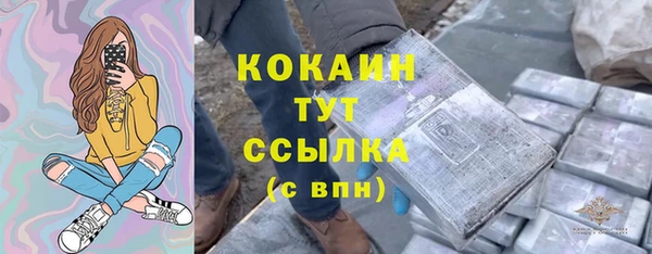 винт Абаза